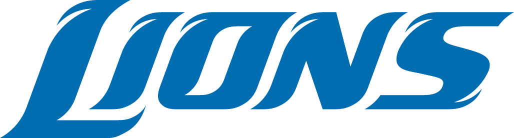Detroit Lions 2009-2016 Wordmark Logo DIY iron on transfer (heat transfer)